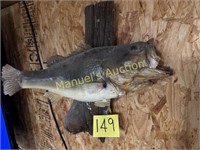 21" MOUNTED BASS