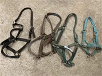 4 Halters