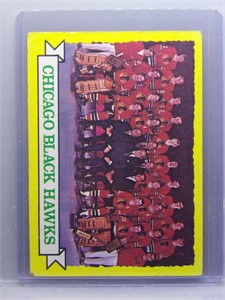 Chicago Blackhawks 1973-74 Topps