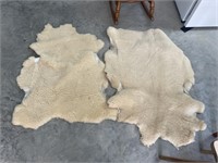 Sheep skins