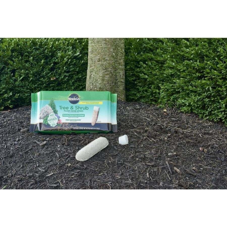 Miracle-Gro Tree and Shrub Plant Food Spikes 3lb