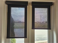 Two 21" Window Shades