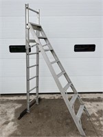 Aluminum step & extension ladder
