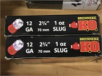 10 Rounds of 12ga. Slugs