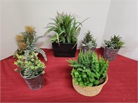 Assorted Artificial Succulents