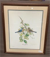Framed Jim Oliver Print " Eastern Bluebirds"