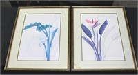 2 Large Tropical Prints by Thaila Lincoln 1974
