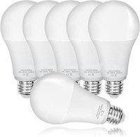 WF6055  OHLGT Bright Light Bulb, 23W, 3000K, 6-Pac