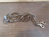 Chain 25' with quick release clips