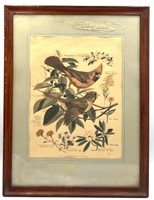 Vintage Arthur Singer Framed Print Cardinal Birds