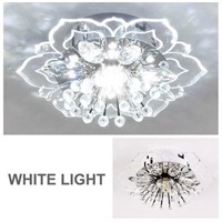 WF6263  VERR 7.9'' Acrylic Crystal Ceiling Light,
