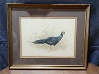 Pheasant Art Picture