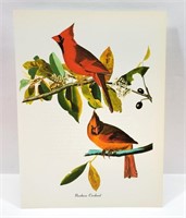RED Cardinal Bird Print John J. Audubon