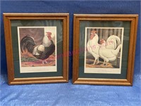 Pair rooster / hen pictures