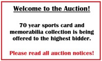 Welcome to the Auction!