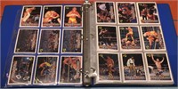 1990 Titan Sports WWF cards