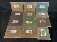 Vintage Tobacco Cigarette Cards - Birds
