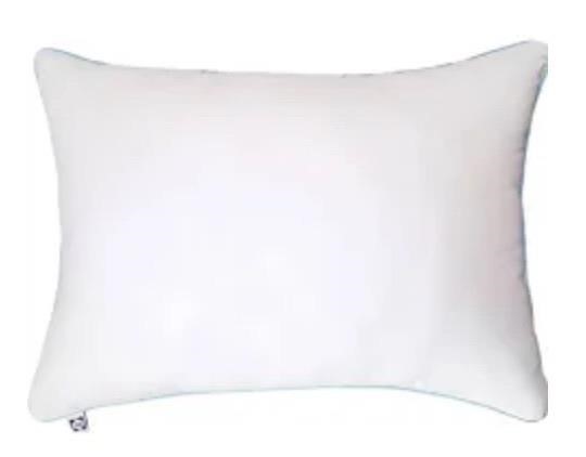Sealy Standard/Queen Pillow