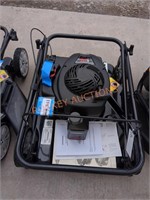 Murray 20" Briggs and Stratton Gas Push Mower