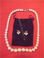 Pearl Style Necklace & Earring w/ Velvet Bag