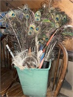 Peacock feathers