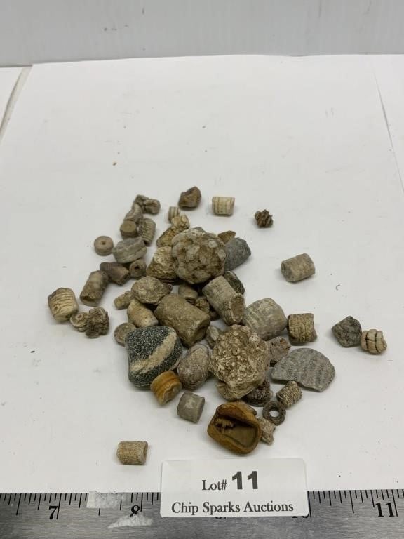 Native American Indian Beads Fossils etc