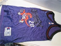 VINTAGE RAPTORS STOUDAMIRE BASKETBALL JERSEY