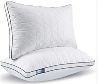 Bedstory 2 Pack Pillows