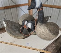 6 Rubber Decoys