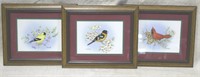 3 Framed Bird Prints Kasprzyk 12x10"