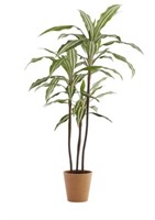 StyleWell 3.58 ft. Indoor Artificial Dracaena Tree