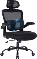 Ergonomic Mesh Office Chair with Lumbar Support