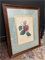 Vintage Passion Flower Framed Art Print