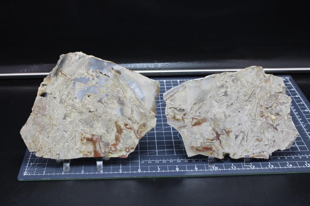 2 Crazy Lace Slabs, 1lbs