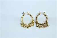 Pair of Golden Boho Earrings