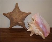 (S1) Star Fish & Shell