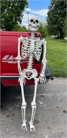 Full Life Size Posable Human Skeleton Decoration