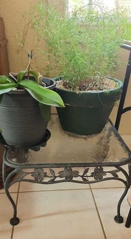 2 plants and a little patio table