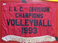IAC Div Champ Volleyball 1993 banner