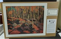 "The Birch Grove" Numbered Print  by Tom Thompson