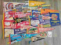 Vintage Souvenir Pennants Collection