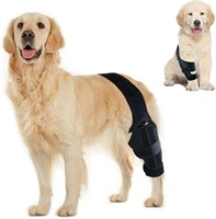 Dog Knee Brace for ACL  Arthritis (Size: M)
