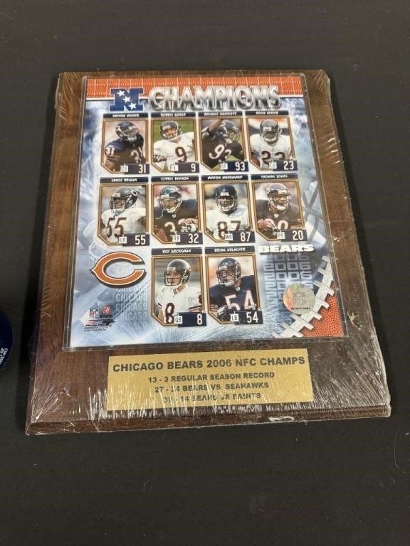 Chicago Bears 2006 NFC Champs