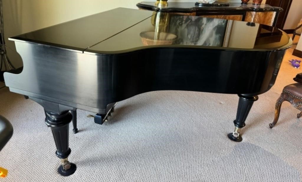 Baby Grand Lurgenstein Piano