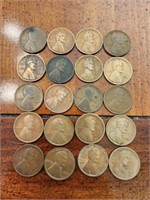 20 1900s pennies