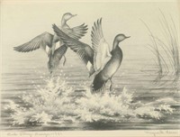 Duck Stamp & Print