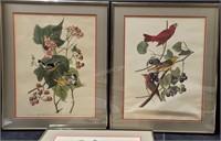 Trio of J.J. Audubon Wildlife & Woodpecker Art