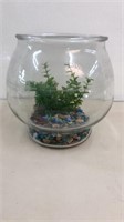 Fish Bowl and Contents