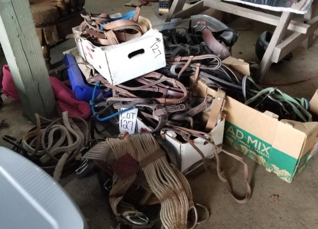 Large lot of horse tack-lead ropes, bridles & more