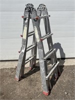 Extension/step ladder